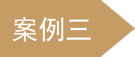 案例 C